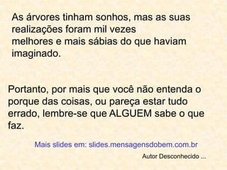 As árvores tinham sonhos, mas as suas realizações foram mil vezesmelhores e mais sábias do que haviam imaginado.Portanto, por mais que você não entenda o porque das coisas, ou pareça estar tudo errado, lembre-se que ALGUEM sabe o que faz.Mais slides em: slides.mensagensdobem.com.brAutor Desconhecido ...