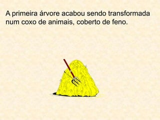 A primeira árvore acabou sendo transformada num coxo de animais, coberto de feno.