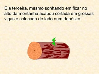 E a terceira, mesmo sonhando em ficar no alto da montanha acabou cortada em grossas vigas e colocada de lado num depósito.