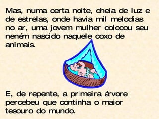 Mas, numa certa noite, cheia de luz e de estrelas, onde havia mil melodias no ar, uma jovem mulher colocou seu neném nascido naquele coxo de animais. E, de repente, a primeira árvore percebeu que continha o maior tesouro do mundo. 