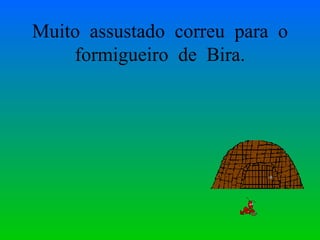Muito  assustado  correu  para  o formigueiro  de  Bira. 