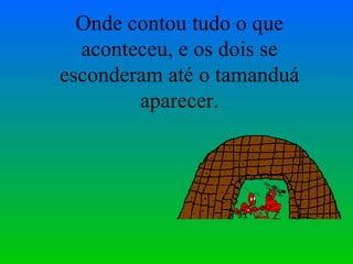 Onde contou tudo o que aconteceu, e os dois se esconderam até o tamanduá aparecer. 