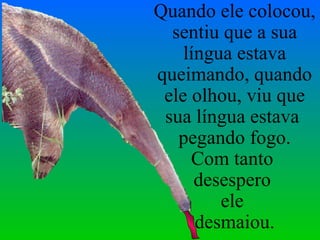 Quando ele colocou, sentiu que a sua língua estava queimando, quando ele olhou, viu que sua língua estava  pegando fogo. Com tanto  desespero  ele  desmaiou. 