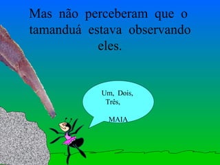 Mas  não  perceberam  que  o  tamanduá  estava  observando eles. Um,  Dois,  Três,  MAIA 