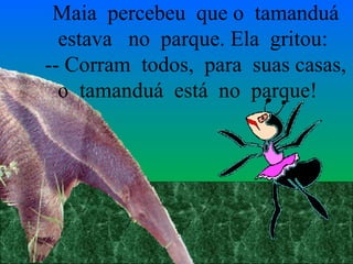 Maia  percebeu  que o  tamanduá estava  no  parque. Ela  gritou:  -- Corram  todos,  para  suas casas, o  tamanduá  está  no  parque!  