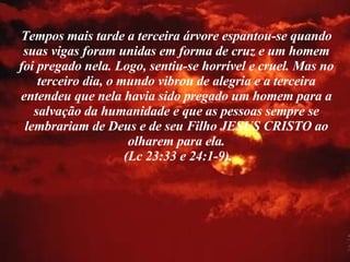 Tempos mais tarde a terceira árvore espantou-se quando suas vigas foram unidas em forma de cruz e um homem foi pregado nela. Logo, sentiu-se horrível e cruel. Mas no terceiro dia, o mundo vibrou de alegria e a terceira entendeu que nela havia sido pregado um homem para a salvação da humanidade e que as pessoas sempre se lembrariam de Deus e de seu Filho JESUS CRISTO ao olharem para ela. (Lc 23:33 e 24:1-9). 