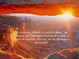 A primeira, olhando as estrelas, disse: “eu quero ser o baú mais precioso do mundo, cheio de tesouros. Para tal, até me disponho a ser cortada”. 
