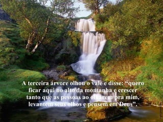 A terceira árvore olhou o vale e disse: “quero ficar aqui no alto da montanha e crescer tanto que as pessoas ao olharem pra mim, levantem seus olhos e pensem em Deus”. 