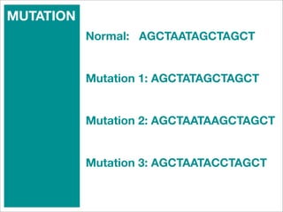 MUTATION
           Normal: AGCTAATAGCTAGCT


           Mutation 1: AGCTATAGCTAGCT


           Mutation 2: AGCTAATAAGCTAGCT


           Mutation 3: AGCTAATACCTAGCT
 