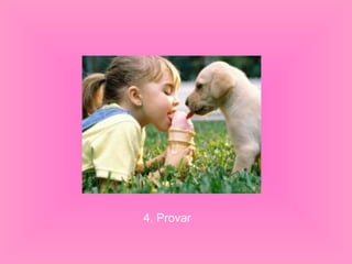 4. Provar
 