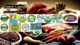 OGMO Foods Overview  SignalHire Company Profile
