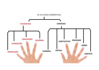 As 10 classes morfológicas