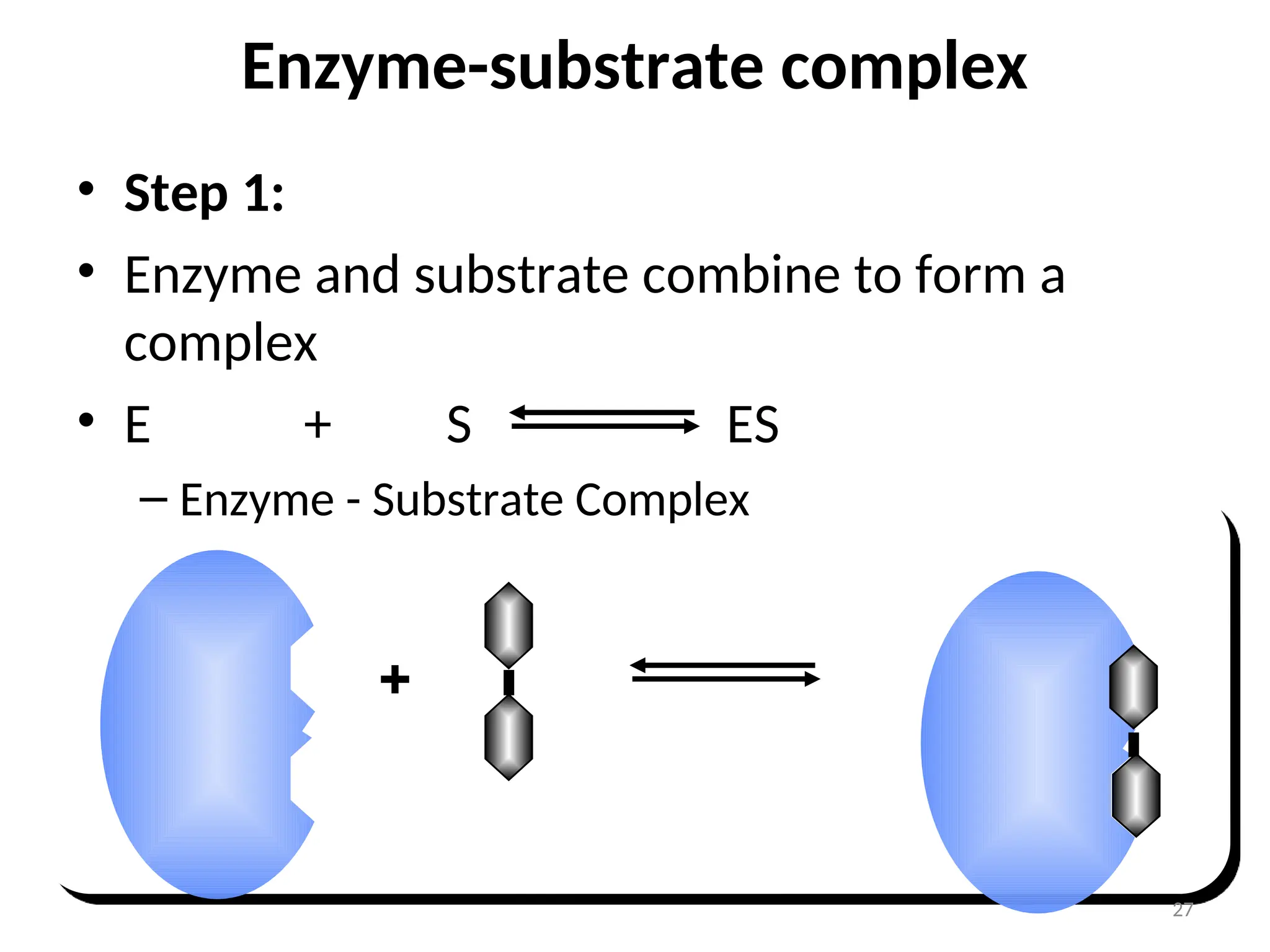 Enzyme-substrate complex
• Step 1:
• Enzyme and substrate combine to form a
complex
• E + S ES
– Enzyme - Substrate Complex
+
27
 