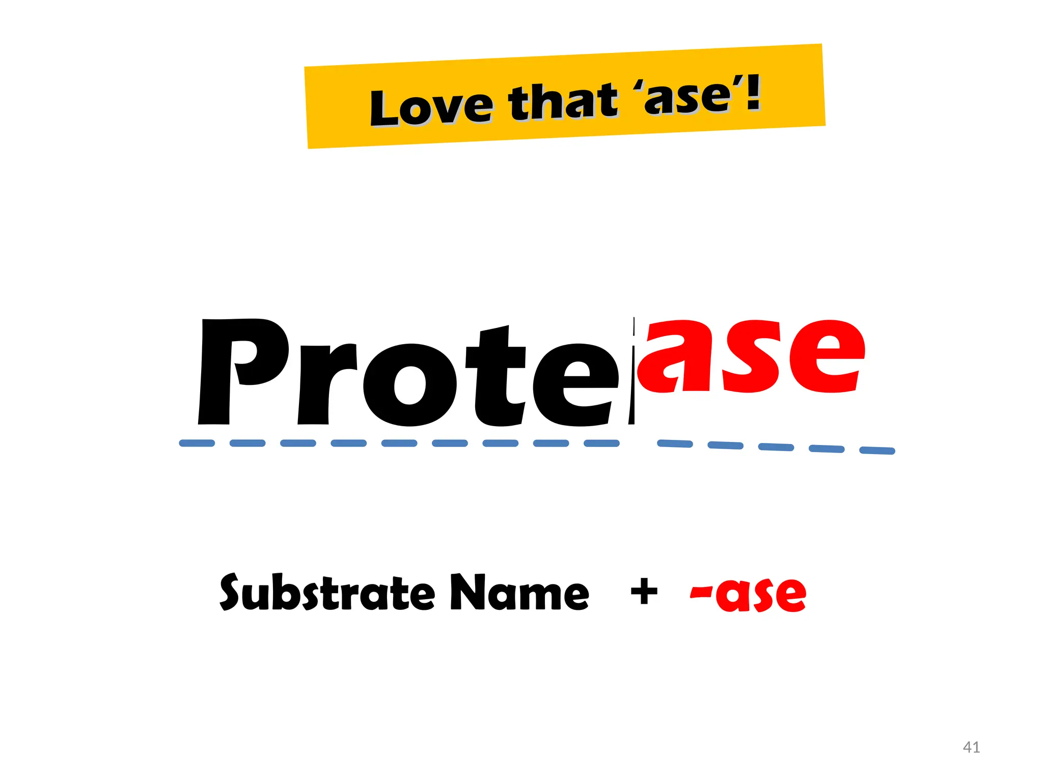 Protein
ase
Substrate Name + -ase
Love that ‘ase’!
Love that ‘ase’!
41
 