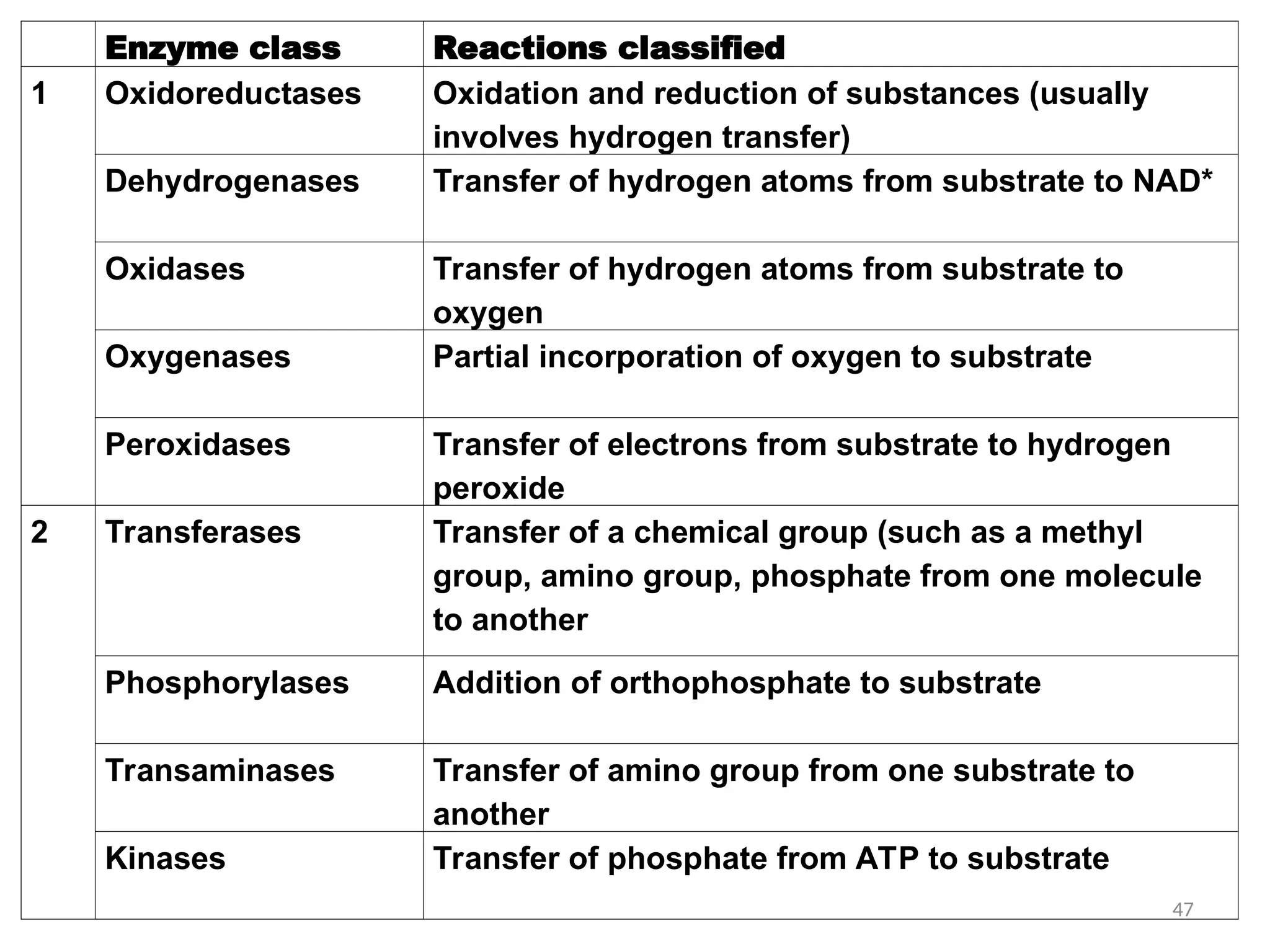 Enzyme class Reactions classified
1 Oxidoreductases Oxidation and reduction of substances (usually
involves hydrogen transfer)
Dehydrogenases Transfer of hydrogen atoms from substrate to NAD*
Oxidases Transfer of hydrogen atoms from substrate to
oxygen
Oxygenases Partial incorporation of oxygen to substrate
Peroxidases Transfer of electrons from substrate to hydrogen
peroxide
2 Transferases Transfer of a chemical group (such as a methyl
group, amino group, phosphate from one molecule
to another
Phosphorylases Addition of orthophosphate to substrate
Transaminases Transfer of amino group from one substrate to
another
Kinases Transfer of phosphate from ATP to substrate
47
 