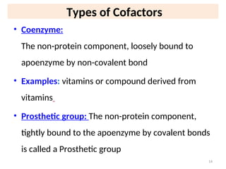 AS116 Enzymes mode of action of enzymes (1).ppt