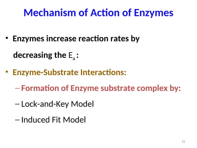 AS116 Enzymes mode of action of enzymes (1).ppt
