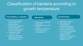 What Temperature Kills Bacteria