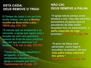 ESTÁ CAÍDA:                           NÃO CAI:
DEUS REMOVE O TRIGO                   DEUS REMOVE A PALHA

O Tempo do Juízo é um período         “A igreja talvez pareça como
muito solene, em que o Senhor         prestes a cair, mas não cairá.Ela
recolhe os Seus entre o joio..”       permanece ao passo que os
TMOE pág. 234, 236.                   pecadores de Sião serão
                                      lançados fora no joeiramento: a
“A menos que se arrependa e se        palha separado do trigo
converta, a igreja que agora está a   precioso.” M.E. vol. 2, pág. 380.
levedar-se com sua apostasia,
comerá do fruto de seus próprios
atos até que se aborreça a si
                                      “O povo de Deus será
mesma.” T.S. vol. 3, pág. 252-254.
                                      peneirado, como trigo é
                                      sacudido na peneira, até que
 “Torne-se a igreja orgulhosa e       toda palha esteja separada
 arrogante...o Senhor                 dos grãos.”
 certamente abandonará essa           Testimonies vol. 1, pág. 341.
 igreja e a lançará por terra.”
 Testimonies vol. 8, pág. 127.
 