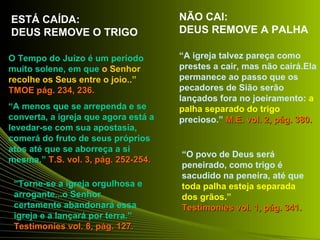 ESTÁ CAÍDA: 
DEUS REMOVE O TRIGO 
“A menos que se arrependa e se 
converta, a igreja que agora está a 
levedar-se com sua apostasia, 
comerá do fruto de seus próprios 
atos até que se aborreça a si 
mesma.” TT..SS.. vvooll.. 33,, ppáágg.. 225522--225544.. 
“Torne-se a igreja orgulhosa e 
arrogante...o Senhor 
certamente abandonará essa 
igreja e a lançará por terra.” 
Testimonies vvooll.. 88,, ppáágg.. 112277.. 
“A igreja talvez pareça como 
prestes a cair, mas não cairá.Ela 
permanece ao passo que os 
pecadores de Sião serão 
lançados fora no joeiramento: a 
palha separado do trigo 
precioso.” MM..EE.. vvooll.. 22,, ppáágg.. 338800.. 
“O povo de Deus será 
peneirado, como trigo é 
sacudido na peneira, até que 
toda palha esteja separada 
dos grãos.” 
TTeessttiimmoonniieess vvooll.. 11,, ppáágg.. 334411.. 
O Tempo do Juízo é um período 
muito solene, em que o Senhor 
recolhe os Seus entre o joio..” 
TTMMOOEE ppáágg.. 223344,, 223366.. 
NÃO CAI: 
DEUS REMOVE A PALHA 
 