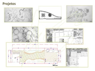 Projetos