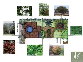 jasmim-mangafênixjasmim-dos-poetaspalmeira-triângulograma-esmeraldalambari-roxograma-amendoimnandina