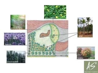 grama-amendoimgrama-são-carlosjeriváagapantonandinapinheiro-budista