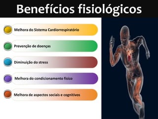 Benefícios fisiológicos
 