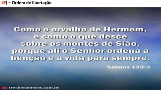 4º) – Ordem de libertação
 