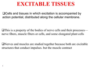 1
EXCITABLE TISSUES
Cells and tissues in which excitation is accompanied by
action potential, distributed along the cellular membrane.
This is a property of the bodies of nerve cells and their processes—
nerve fibers, muscle fibers or cells, and some elongated plant cells
Nerves and muscles are studied together because both arc excitable
structures that conduct impulses. but the muscle contract
 