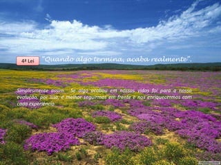 4ª Lei   “Quando algo termina, acaba realmente”.




Simplesmente assim. Se algo acabou em nossas vidas foi para a nossa
evolução, por isso, é melhor seguirmos em frente e nos enriquecermos com
cada experiência.
 