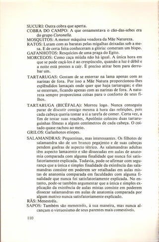 SUCURI: Outra cobra que aperta.
COBRA DO CAMPO: A que ornamentava
o cão-das-sebes era
do grupo Coronel/a.
MOSQUITOS: A menor máquina voadora da Mãe Natureza.
RATOS: Lutam com as baratas pelas migalhas deixadas sob a mesa. E de certa feita conheceram a glória: comeram um bispo.
GAFANHOTOS:
Resquícios de uma praga do Egito.
MORCEGOS: Como caça miúda não há igual. A única hora em
que se pode caçá-los é ao crespúsculo, quando a luz é débil e
a noite está prestes a cair. É preciso atirar bem para derrubar um.
TARTARUGAS:
Gostam de se enterrar na lama apenas com as
narinas de fora. Por isso a Mãe Natura proporcionou-lhes
esplêndidos lamaçais onde quer que haja tartarugas; e elas
se enterram, ficando apenas com as narinas de fora. A natureza sempre proporciona coisas parao conforto de seus filhos.
TARTARUGA
(BICÉFALA):
Morreu logo. Nunca conseguiu
parar de discutir consigo mesma à hora das refeições, pois
cada cabeça queria tomar a si a tarefa de comer. Certa vez, a
fim de testar suas reações, Apolônio colocou duas tartaruguinhas fêmeas a alguns centímetros de cada cabeça. O coitado quase rachou ao meio.
GRILOS: Gafanhotos etíopes.
SALAMANDRAS:
Pequeninas, mas interessantes. Os filhotes de
salamandra são de um branco pegajento e de suas cabeças
pendem guelras de aspecto tétrico. As salamandras adultas
têm aspecto lamacento e são dissecadas em aulas de anatomia comparada com alguma finalidade que nunca foi satisfatoriamente explicada. Todavia, pode-se afirmar com segurança que a única e simples finalidade da existência das salamandras consiste em poderem ser retalhadas em aulas mistas de anatomia comparada em faculdades com alguma finalidade que nunca foi satisfatoriamente
explicada. No entanto, pode-se também argumentar que a única e simples explicação da existência de aulas mistas consiste em poderem
dissecar salamandras em aulas de anatomia comparada por
algum motivo nunca satisfatoriamente
explicado.
RÃS: Menestréis.
SAPOS: Também são menestréis, à sua maneira, mas nunca alcançam o virtuosismo de seus parentes mais comestíveis.
110

j

•

J

l

J

 