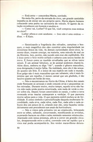 - Está certo - concordou Marta, sorrindo.
No meio-fio, perto da entrada do circo, um grande caminhão
impediu-os de entrar em seu próprio carro. Havia alguns homens
colocando uma pedra na carroceria do veículo. O agente da estação reconheceu um homem e saudou-o.
- Como vai, Luther? O que foi, você comprou essa estátua
no circo?
Luther olhou-o com azedume. - Isso não é uma estátua disse. - É Kate.

- Sintetizando a fragrância dos relvados, campinas e bosques, o mais magnífico dos cães constitui uma singularidade no
misterioso léxico da vida. As demais curiosidades deste circo, lamento dizer, trazem consigo, na maioria, uma mácula do mal ou
da História. Isto, porém, não sucede com esse cão esplêndido. Ele
é doce como o feno recém-ceifado e coberto com tenros botões de
trevo. É fresco como as manhãs orvalhadas que as relvas tanto
amam. É um animal fabuloso, se de animal podemos chamá-lo.
Além disso, embora eu diga "ele", usando o gênero masculino,
essa designação é muito falha. Na realidade, esse cão é tão sexuado quanto um lírio. É o único de sua espécie em todo o mundo.
Esse galgo não é mais masculino que um rabanete, não é mais feminino que um repolho, é menos carnal que um gladíolo, é tão
lascivo quanto um botão de rosa.
- Nós o encontramos no Norte da China, à beira dos canais
onde florescem os arrozais e onde crescem ervas e pequeninas sebes mirradas. Durante muito, muito tempo, aquela terra não havia sido nada senão poeira esturricada, sem nada de verde a crescer sobre ela. Depois foram construí dos os canais, e sobre a terra
ressecada ervas macias começaram a verdejar. O que parecera
morto saltou para a vida. O que parecera estéril encheu-se de fertilidade. E como símbolo e personificação daquela exuberante fecundidade, cada erva, cada relva, cada flor, cada sebe e cada arbusto deu um pouco de si, criando esse cão, uma façanha verdadeiramente sem precedentes nos anais da horticultura.
- Nós o vimos pela primeira vez ao crepúsculo, brincando
entre as sebes, saltando, corcoveando, mordiscando as ervinhas,
escavando buracos no chão e neles metendo sementes minúsculas.
Alarmado com nossa presença, pôs-se a correr em grandes círculos, desaparecendo entre a relva, correndo com tal rapidez que a
vista mal podia acompanhá-lo.
Seu verdor maravilhoso deixou50

1

I

 