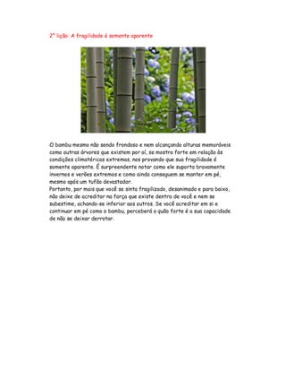 2° lição: A fragilidade é somente aparente
O bambu mesmo não sendo frondoso e nem alcançando alturas memoráveis
como outras árvores que existem por aí, se mostra forte em relação às
condições climatéricas extremas, nos provando que sua fragilidade é
somente aparente. É surpreendente notar como ele suporta bravamente
invernos e verões extremos e como ainda conseguem se manter em pé,
mesmo após um tufão devastador.
Portanto, por mais que você se sinta fragilizado, desanimado e para baixo,
não deixe de acreditar na força que existe dentro de você e nem se
subestime, achando-se inferior aos outros. Se você acreditar em si e
continuar em pé como o bambu, perceberá o quão forte é a sua capacidade
de não se deixar derrotar.
 