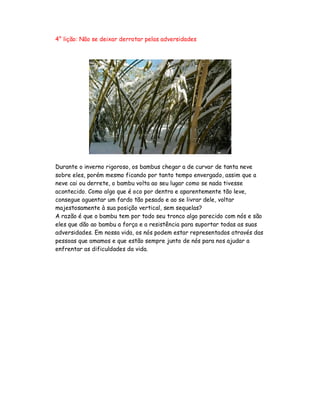 4° lição: Não se deixar derrotar pelas adversidades
Durante o inverno rigoroso, os bambus chegar a de curvar de tanta neve
sobre eles, porém mesmo ficando por tanto tempo envergado, assim que a
neve cai ou derrete, o bambu volta ao seu lugar como se nada tivesse
acontecido. Como algo que é oco por dentro e aparentemente tão leve,
consegue aguentar um fardo tão pesado e ao se livrar dele, voltar
majestosamente à sua posição vertical, sem sequelas?
A razão é que o bambu tem por todo seu tronco algo parecido com nós e são
eles que dão ao bambu a força e a resistência para suportar todas as suas
adversidades. Em nossa vida, os nós podem estar representados através das
pessoas que amamos e que estão sempre junto de nós para nos ajudar a
enfrentar as dificuldades da vida.
 