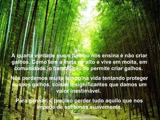 A quarta verdade que o bambu nos ensina é não criar
galhos. Como tem a meta no alto e vive em moita, em
 comunidade, o bambu não se permite criar galhos.
Nós perdemos muito tempo na vida tentando proteger
nossos galhos, coisas insignificantes que damos um
                valor inestimável.
 Para ganhar, é preciso perder tudo aquilo que nos
         impede de subirmos suavemente.
 