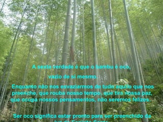 A sexta verdade é que o bambu é oco,
             vazio de si mesmo.
Enquanto não nos esvaziarmos de tudo aquilo que nos
preenche, que rouba nosso tempo, que tira nossa paz,
que ocupa nossos pensamentos, não seremos felizes.


Ser oco significa estar pronto para ser preenchido da
 