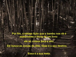 Por fim, a sétima lição que o bambu nos dá é
           exatamente o título de um livro:
              ele só cresce para o alto.
Ele busca as coisas do Alto. Esse é o seu destino.


                 Essa é a sua meta.
 