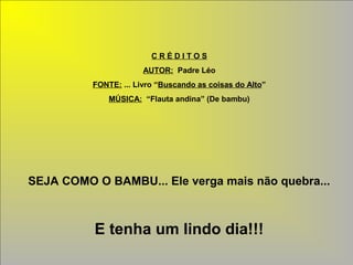 CRÉDITOS
                       AUTOR: Padre Léo
          FONTE: ... Livro “Buscando as coisas do Alto”
              MÚSICA: “Flauta andina” (De bambu)




SEJA COMO O BAMBU... Ele verga mais não quebra...



          E tenha um lindo dia!!!
 