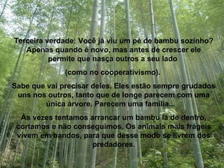 Terceira verdade: Você já viu um pé de bambu sozinho?
   Apenas quando é novo, mas antes de crescer ele
          permite que nasça outros a seu lado
              (como no cooperativismo).
Sabe que vai precisar deles. Eles estão sempre grudados
 uns nos outros, tanto que de longe parecem com uma
        única árvore. Parecem uma família...
  Às vezes tentamos arrancar um bambu lá de dentro,
 cortamos e não conseguimos. Os animais mais frágeis
 vivem em bandos, para que desse modo se livrem dos
                     predadores.
 