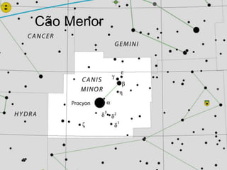 Cão Menor
 