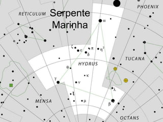 Serpente
Marinha
 