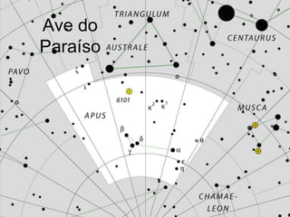 Ave do
Paraíso
 