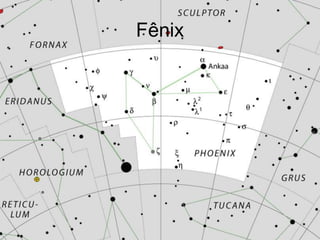 Fênix
 