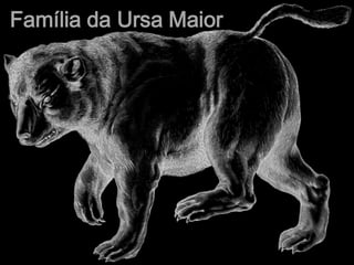 Família da Ursa Maior
 
