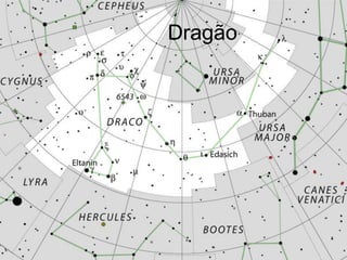 Dragão
 