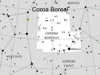 Coroa Boreal
 