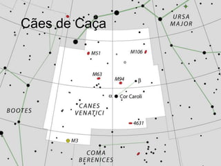 Cães de Caça
 