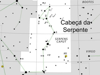 Cabeça da
 Serpente
 