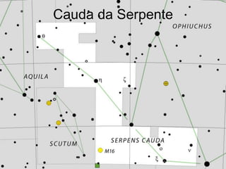 Cauda da Serpente
 
